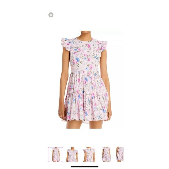 Aqua Rose Eyelet Mini Dress Pink Floral XS - Picture 1 of 9